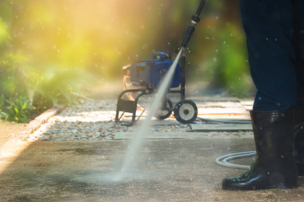 Best Driveway Pressure Washing  in Catonsville, MD